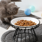 🐱🥣 Ceramiczna miska dla kota – do karmy suchej i mokrej – płatność przy odbiorze 🐈✅