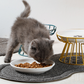 🐱🥣 Ceramiczna miska dla kota – do karmy suchej i mokrej – płatność przy odbiorze 🐈✅