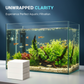 🐠🔮 Tabletki oczyszczające wodę w akwarium – 🌱 Usuwają nieprzyjemny zapach i zmętnienie – Płatność przy odbiorze ✅