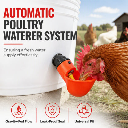 Automatyczny poidełko dla drobiu – stałe nawadnianie bez wysiłku, woda uzupełnia się sama, ptaki zawsze nawodnione. Na pobranie! 🐔
