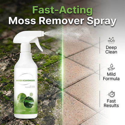 Szybko działający spray na mech – odświeża patio, podjazdy i tarasy bez uszkadzania powierzchni – Środek do usuwania mchu – Na pobranie! 🌿
